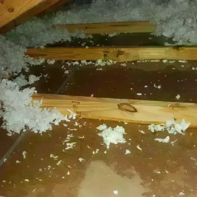 Attic Water Damage in Uncasville, CT