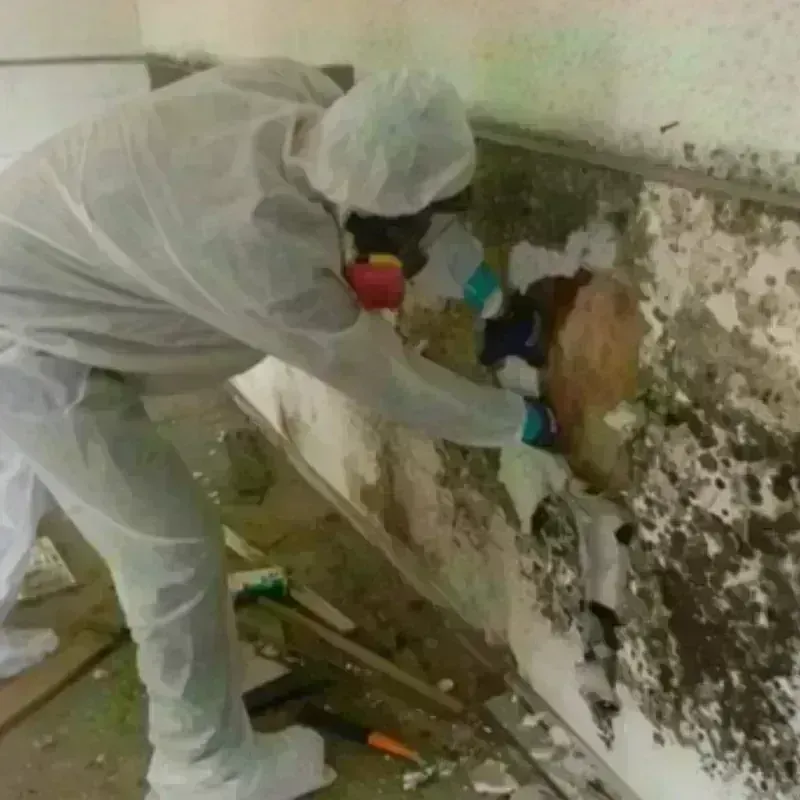 Mold Remediation and Removal in Uncasville, CT